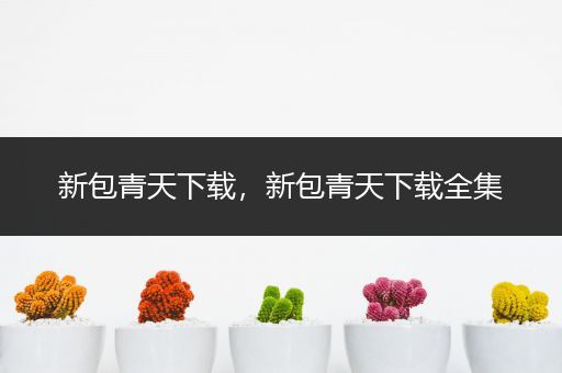 新包青天下载，新包青天下载全集