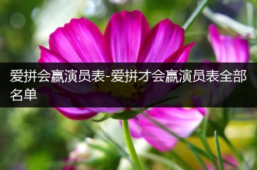 爱拼会赢演员表-爱拼才会赢演员表全部名单