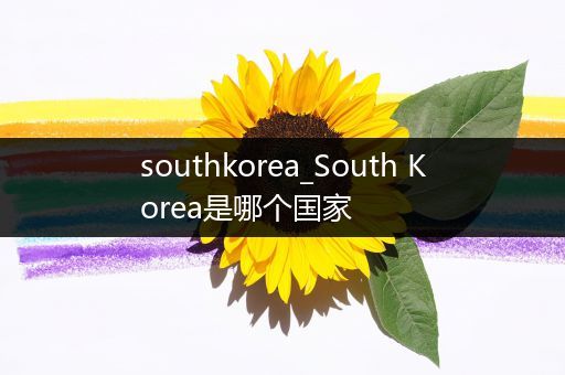 southkorea_South Korea是哪个国家