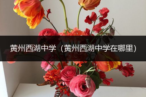 黄州西湖中学（黄州西湖中学在哪里）
