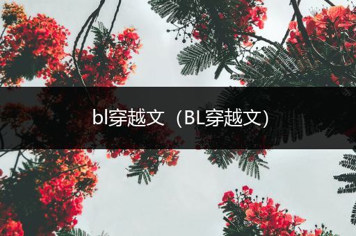 bl穿越文（BL穿越文）