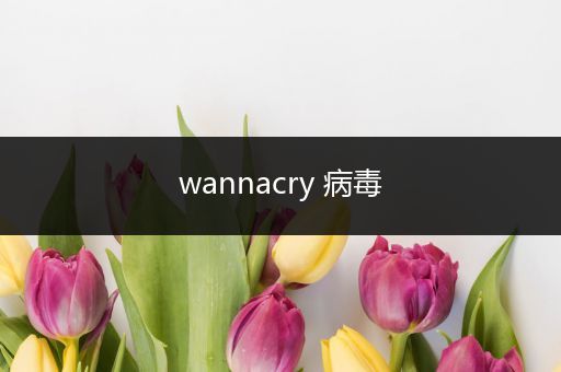 wannacry 病毒