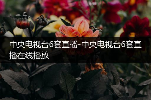 中央电视台6套直播-中央电视台6套直播在线播放