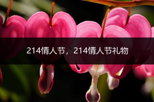 214情人节，214情人节礼物