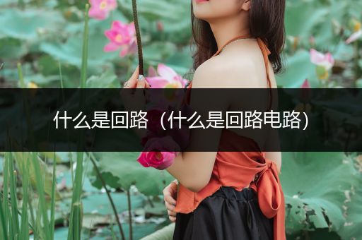 什么是回路（什么是回路电路）