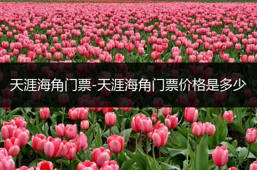 天涯海角门票-天涯海角门票价格是多少