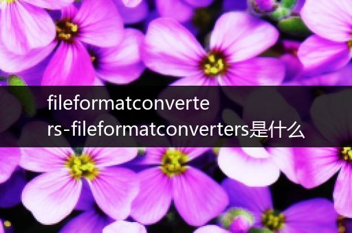 fileformatconverters-fileformatconverters是什么