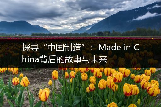 探寻“中国制造”：Made in China背后的故事与未来