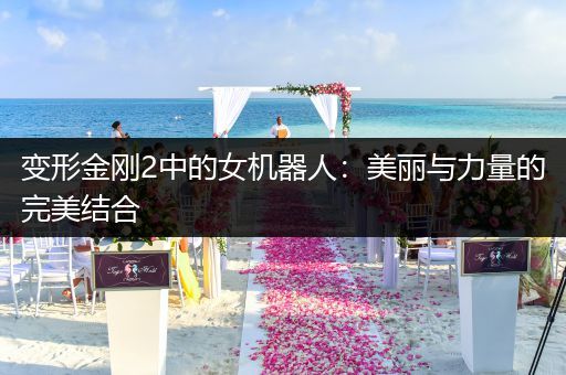 变形金刚2中的女机器人：美丽与力量的完美结合