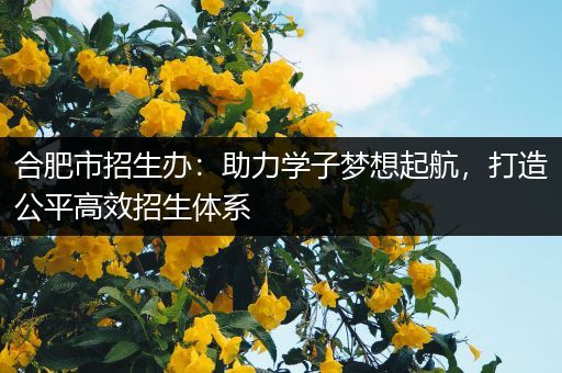 合肥市招生办:助力学子梦想起航,打造公平高效招生体系