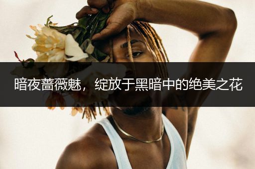 暗夜蔷薇魅，绽放于黑暗中的绝美之花