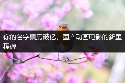 你的名字票房破亿，国产动画电影的新里程碑