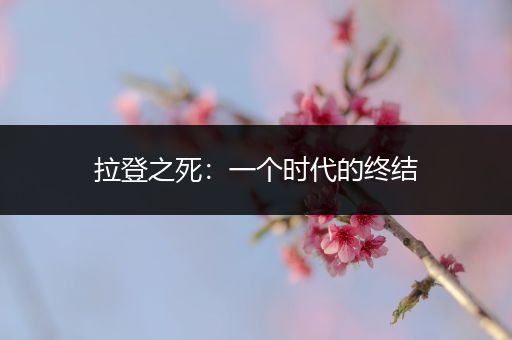 拉登之死：一个时代的终结