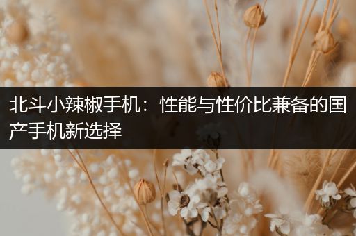 北斗小辣椒手机：性能与性价比兼备的国产手机新选择
