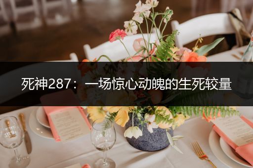 死神287：一场惊心动魄的生死较量