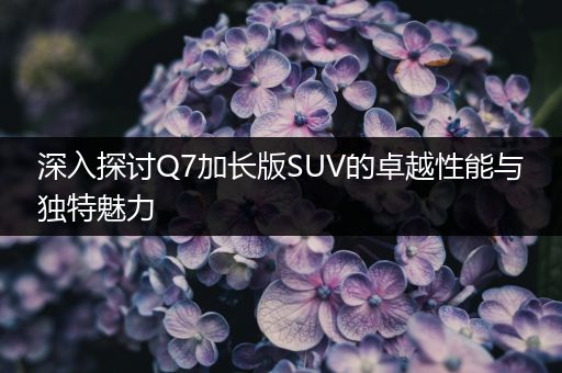 深入探讨Q7加长版SUV的卓越性能与独特魅力