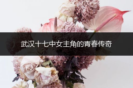 武汉十七中女主角的青春传奇