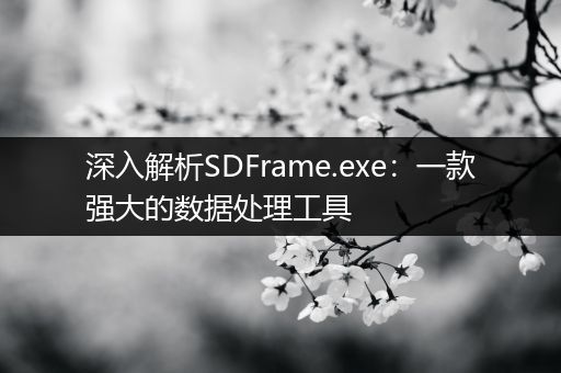 深入解析SDFrame.exe：一款强大的数据处理工具