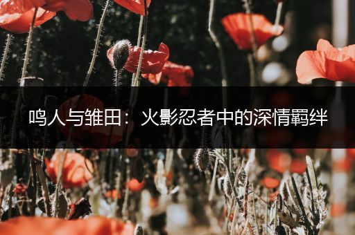 鸣人与雏田：火影忍者中的深情羁绊