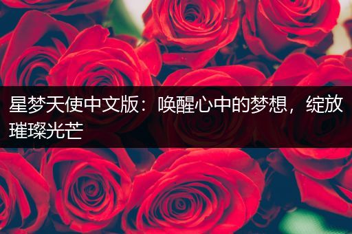 星梦天使中文版：唤醒心中的梦想，绽放璀璨光芒