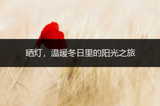 晒灯，温暖冬日里的阳光之旅
