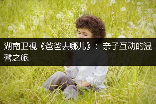 湖南卫视《爸爸去哪儿》：亲子互动的温馨之旅
