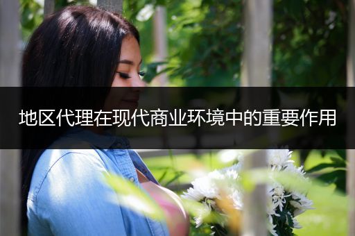 地区代理在现代商业环境中的重要作用