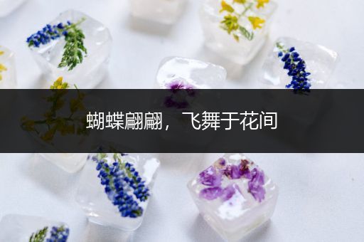 蝴蝶翩翩，飞舞于花间