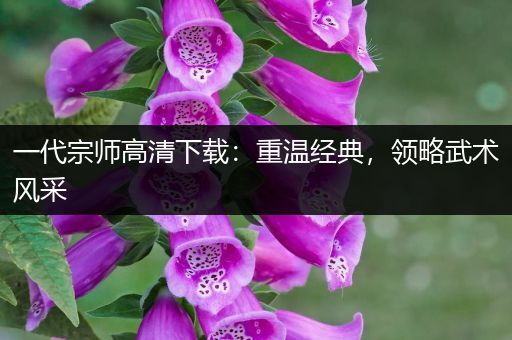 一代宗师高清下载：重温经典，领略武术风采