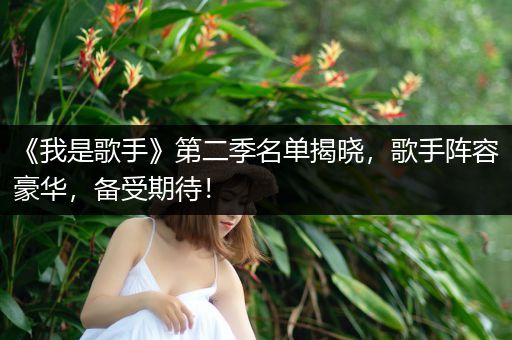 《我是歌手》第二季名单揭晓，歌手阵容豪华，备受期待！