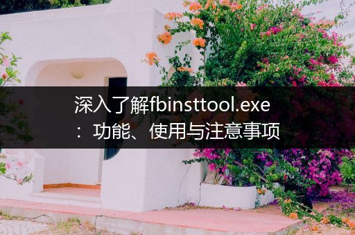 深入了解fbinsttool.exe：功能、使用与注意事项