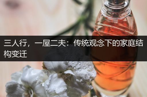 三人行，一屋二夫：传统观念下的家庭结构变迁