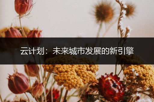 云计划：未来城市发展的新引擎