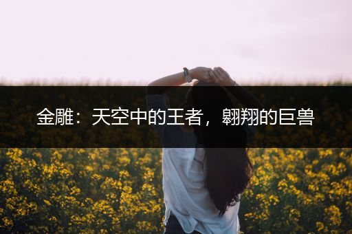 金雕：天空中的王者，翱翔的巨兽