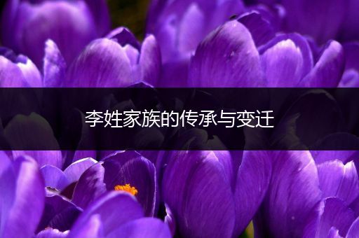李姓家族的传承与变迁