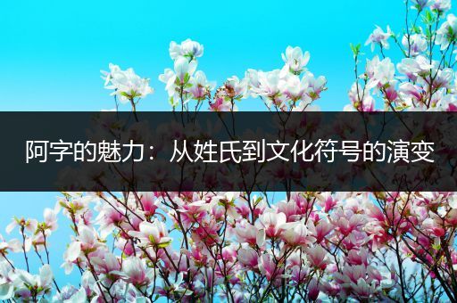 阿字的魅力：从姓氏到文化符号的演变