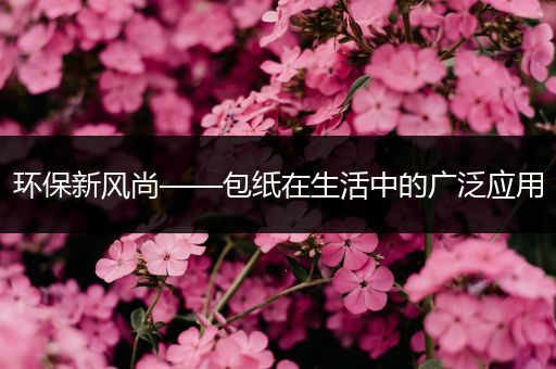 环保新风尚——包纸在生活中的广泛应用