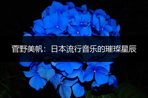 菅野美帆：日本流行音乐的璀璨星辰