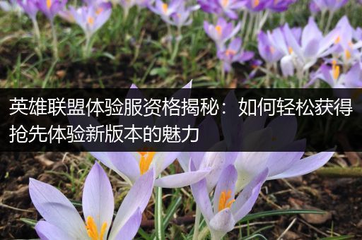 英雄联盟体验服资格揭秘：如何轻松获得抢先体验新版本的魅力