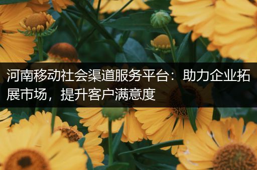 河南移动社会渠道服务平台：助力企业拓展市场，提升客户满意度