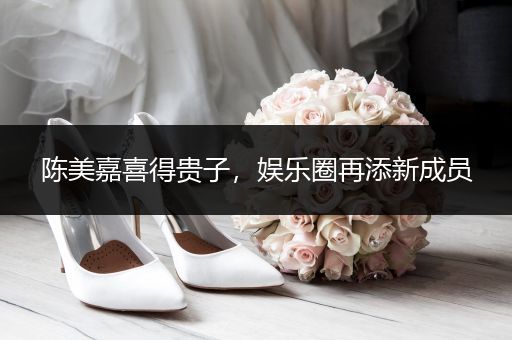 陈美嘉喜得贵子，娱乐圈再添新成员