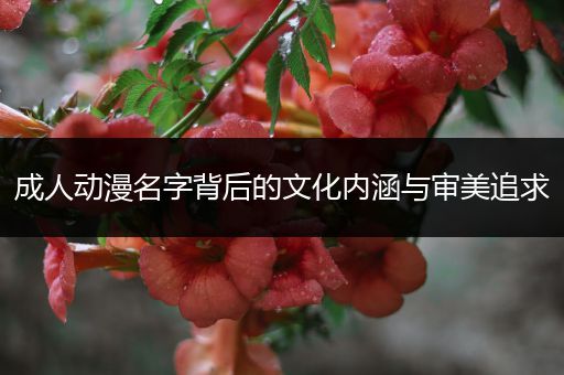 成人动漫名字背后的文化内涵与审美追求