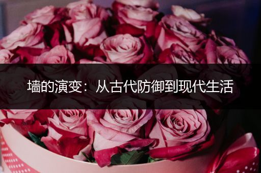 墙的演变：从古代防御到现代生活