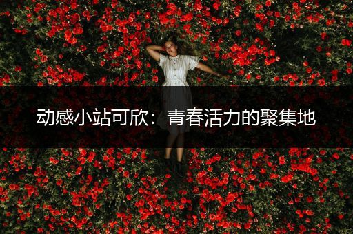 动感小站可欣：青春活力的聚集地