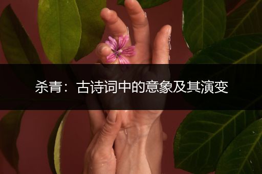 杀青：古诗词中的意象及其演变