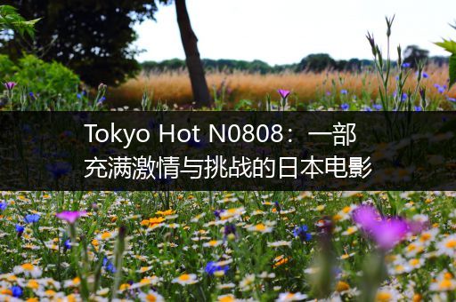 Tokyo Hot N0808：一部充满激情与挑战的日本电影
