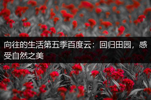 向往的生活第五季百度云：回归田园，感受自然之美
