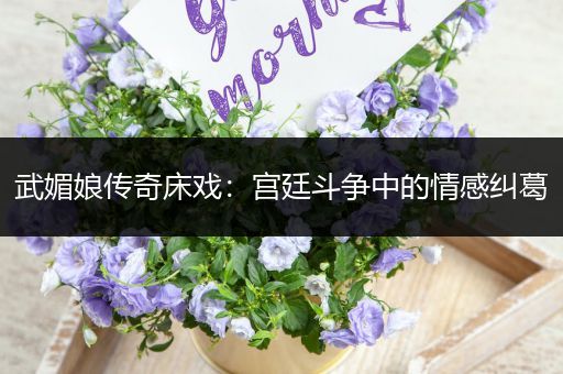 武媚娘传奇床戏：宫廷斗争中的情感纠葛