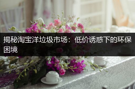 揭秘淘宝洋垃圾市场：低价诱惑下的环保困境