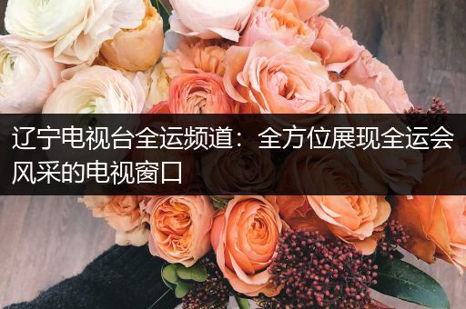 辽宁电视台全运频道：全方位展现全运会风采的电视窗口
